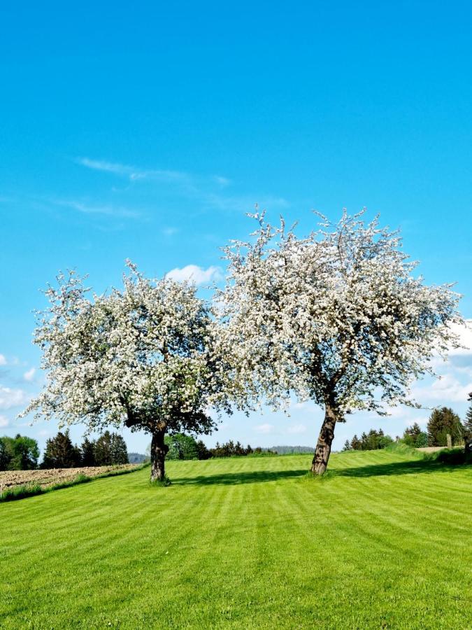 Ferienhaus Ritzmais Bischofsmais Buitenkant foto